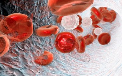 Blood cancer: adults and children at risk