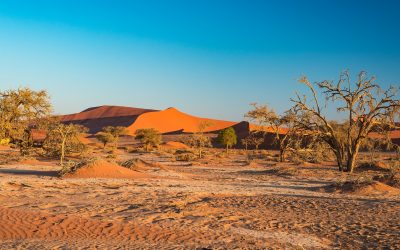 Climate change: One of the greatest threats to public health in the 21st century