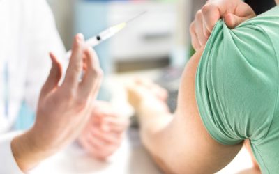 Lifeline for snakebite victims with launch of specialised advisory team in SA