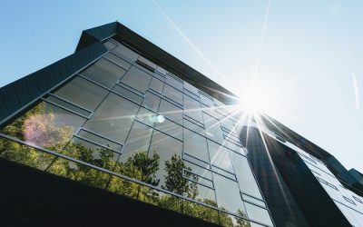 Why corporates are going green in facilities management